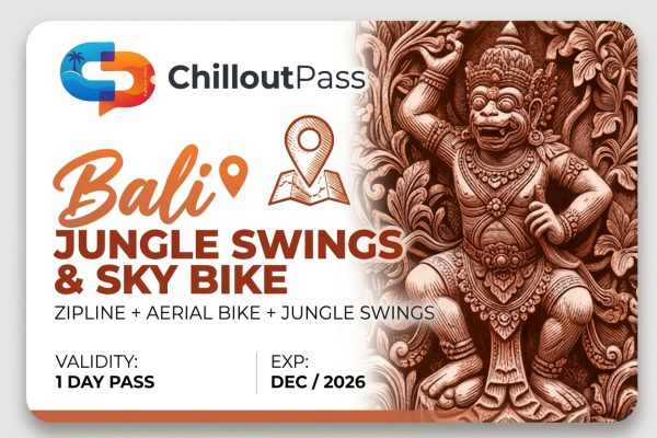 Jungle Swings, Aerial Sky Bike & Zipline Pass