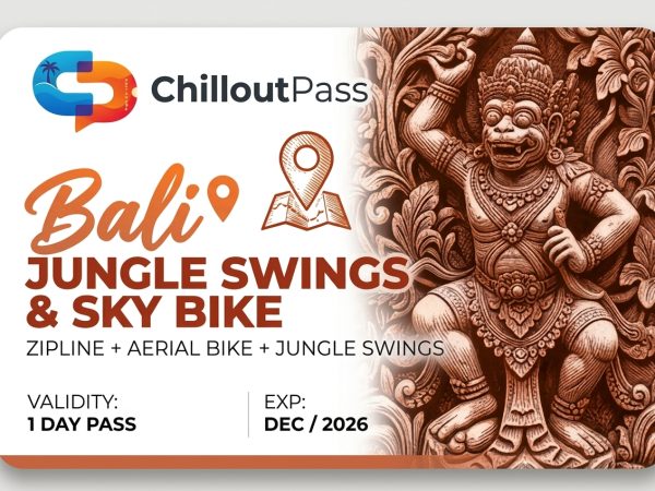 Jungle Swings, Aerial Sky Bike & Zipline Pass